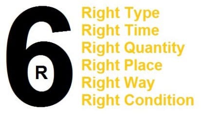 enluse-toon-27082016-cnt1